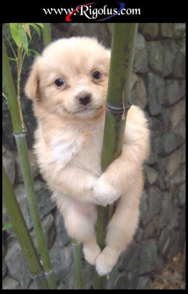 Adorable !